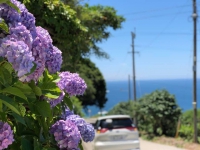 太陽の恵み