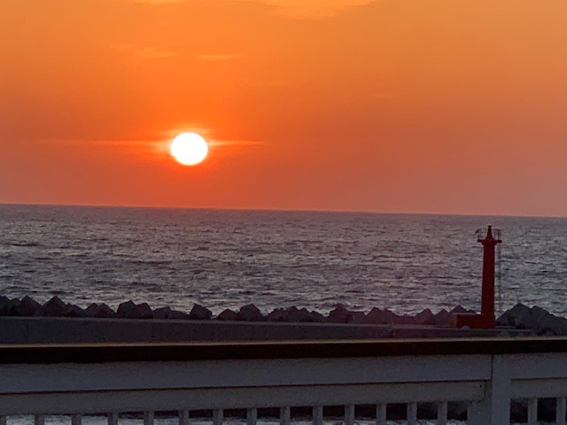 4月5日の夕陽と桜と猫