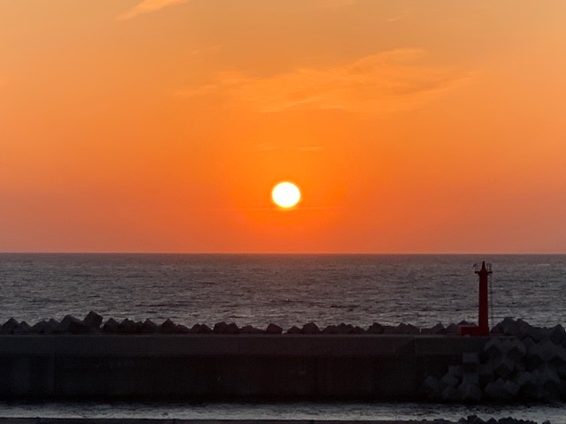 4月5日の夕陽と桜と猫