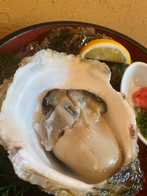 夏の味覚♪天草天領岩牡蠣のお知らせ