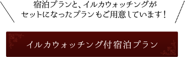 宿泊プランと、イルカウォッチングがセットになったプランもご用意しています！ イルカウォッチング付宿泊プラン