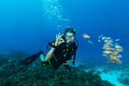 スキューバダイビングをしている人が海中で魚の群れを見ながらOKサインを出しています。